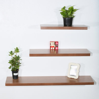 Franky 3 Piece Floating Shelf