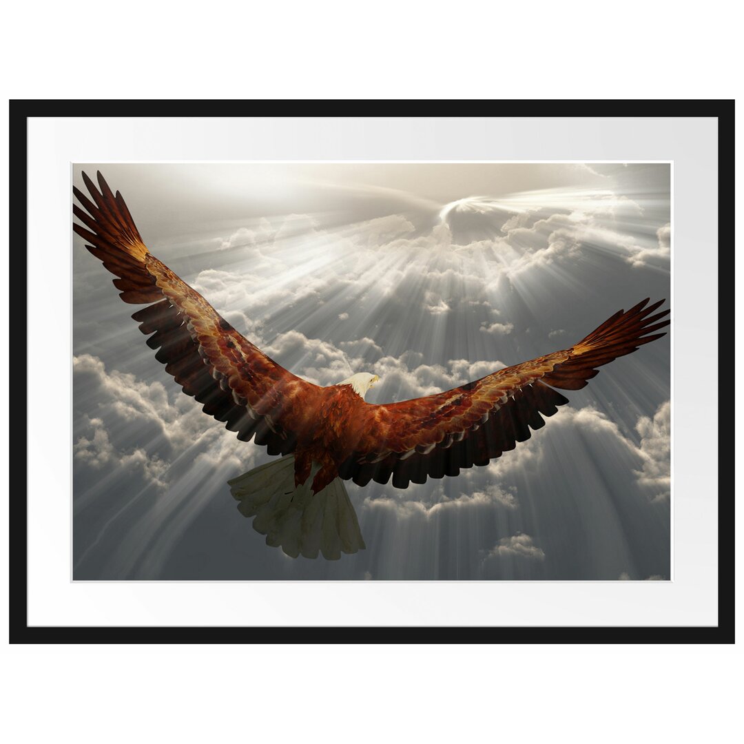 Anmutiger Adler über den Wolken Gerahmter Fotokunstdruck Poster