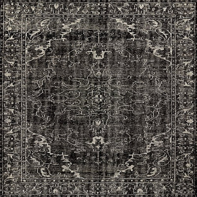 Harrodsburg Oriental Indoor Rug