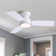 32'' Ceiling Fan With Light Kit & Remote