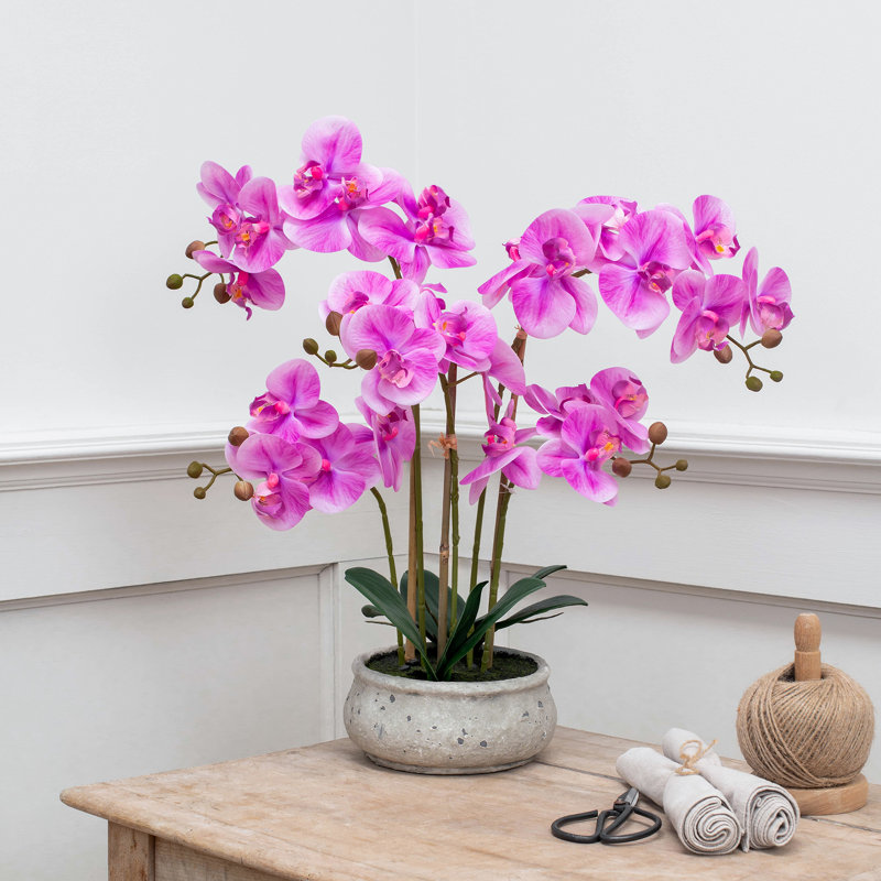 Arrangement