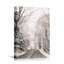 Paysage naturel «Woodland Road Through The Winter Trees Cool Dramatic Forest» sur-99543790