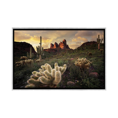 Arizona Desert Sunset