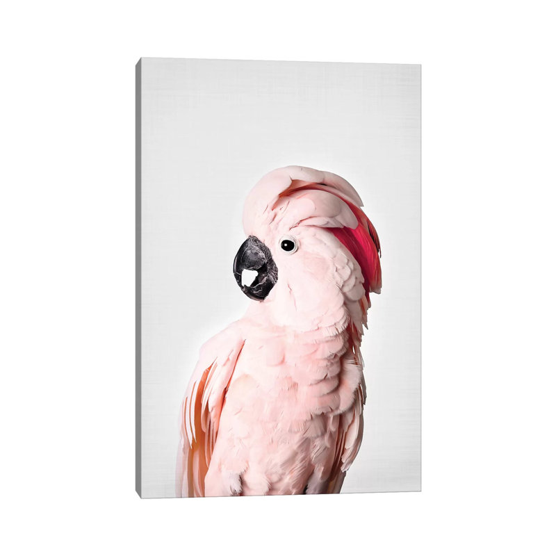 Pink Cockatoo by Sisi & Seb - Wrapped Canvas Print, 20.32 cm H x 30.48 cm W