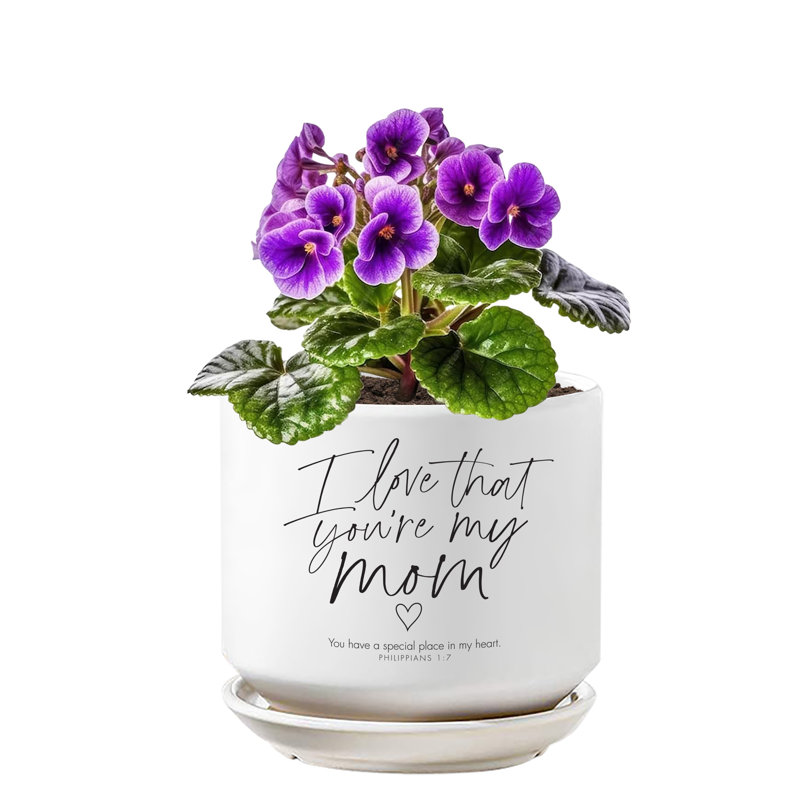 Jardinière I Love You Mom Philippians 1: 7