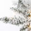 Arbre de Noël artificiel pin vert / blanc Prelit-1780074375