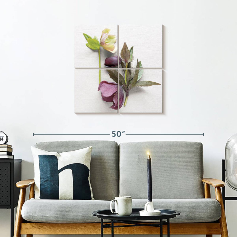 Hellebore Study III, 26" H x 26" W