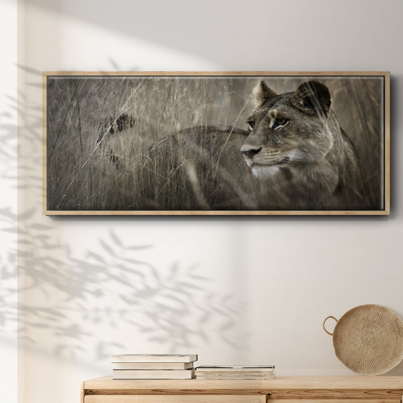 Tall Grass Alpha - toile avec cadre, 20" H x 50" W