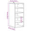 Shoe Cabinet Engineered Wood-1757895727