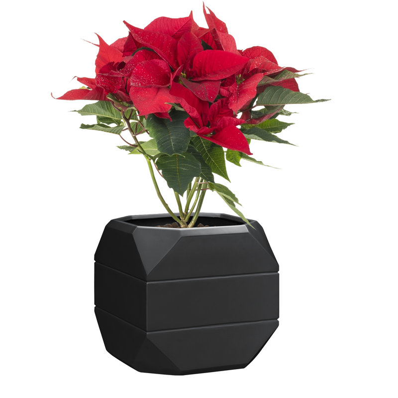 Pot à fleurs 16 po Modern Sonoma, H 16 po x l 15,7 po x P 15,7 po, Blanc