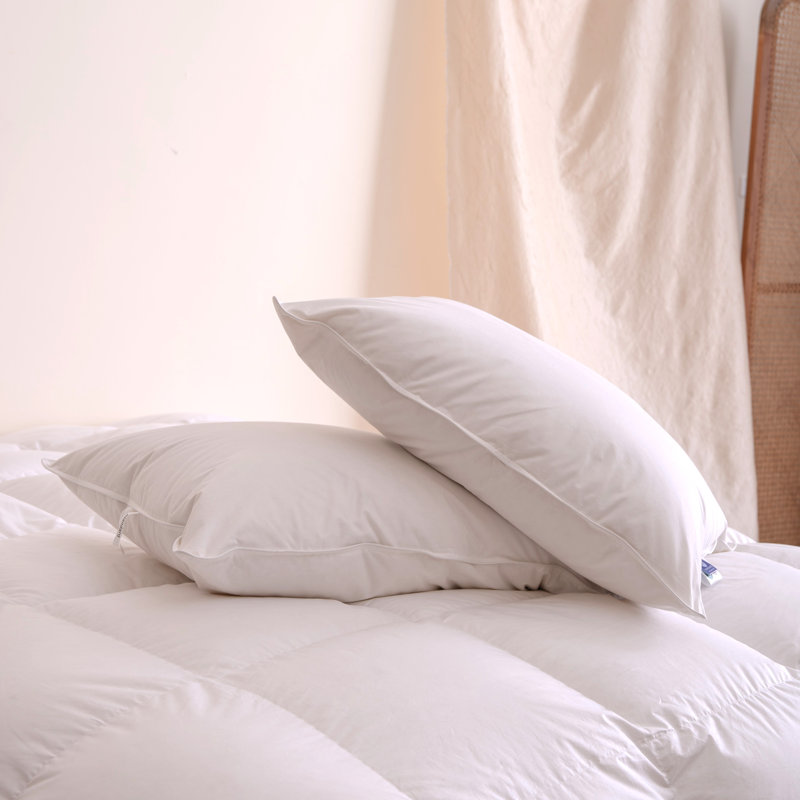 Tencel Natural Cotton Shell 600 Fill Power White Goose Down Cooling Cloud-Like Pillow, Standard