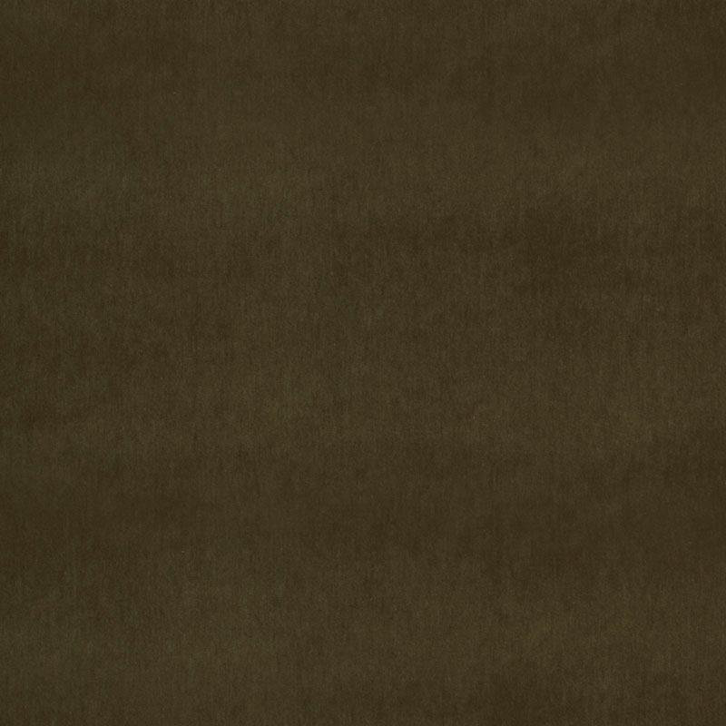 Velvet Encyclopedia II Fabric, Olive