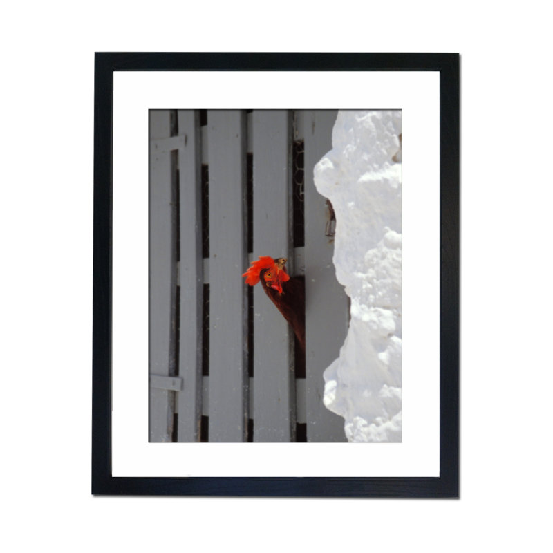Single Picture Frame Print