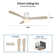 Amoni 52'' Ceiling Fan with LED Lights