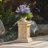 Valmont Outdoor/Indoor Traditional Garden Handmade MgO Pedestal Plant Stand with Ornate Carved Detail