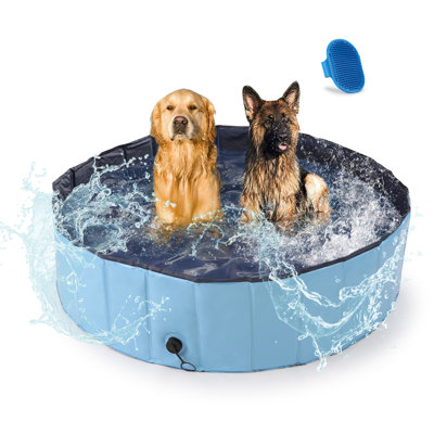 Baignoire portative pliable pour chien