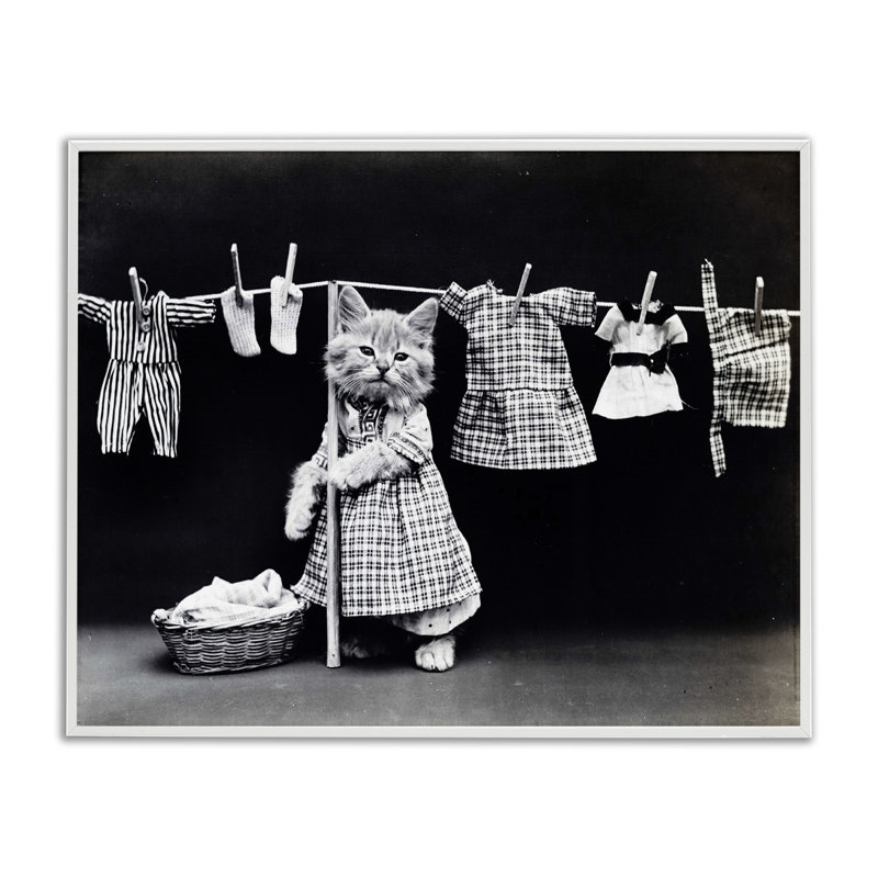 Kitten Does the Laundry Graphic Art Print, 11" H x 14" W, Coastal White Framed Giclee
