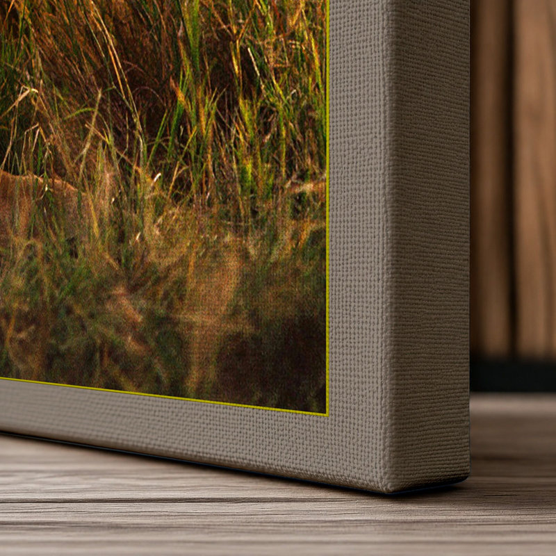 Lioness in Golden Light Boho 1 Piece Wrapped Canvas Wall Art, 24x16 - 61.0 x 40.6 cm, Taupe Border