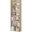 Rielynn 180cm H x 60cm W Standard Bookcase-1380073497
