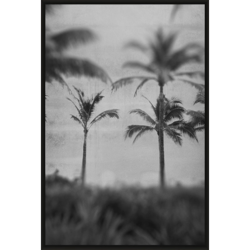 Silver Palms 2' Framed Photographic Print