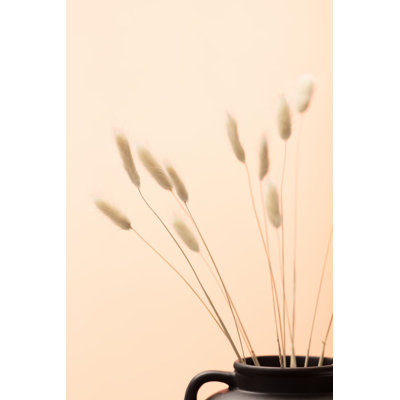 Bunny Grass 01