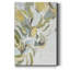 Lemon Pears - Reproduction de cadre photo sur papier-1481051365-1481051368
