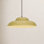 Patricia 1 - Light Sage Dome Pendant