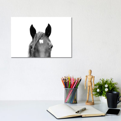 Peeking Horse In Black & White by Sisi & Seb - Photograph Print