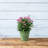 Carrero Pot Planter-579612687-579612683