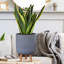 Ribbed Cylinder Planter with Feet-1753896807-1753896811
