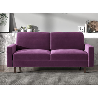 Kathi 69.7'' Velvet Sofa