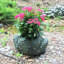 Pot à fleurs statue "Toad Hollow" Classic-1485330523