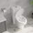 One-Piece Modern Toilet, Comfortable Seat Height Toilet with Dual-Flush Fully Glazed (Seat Included)