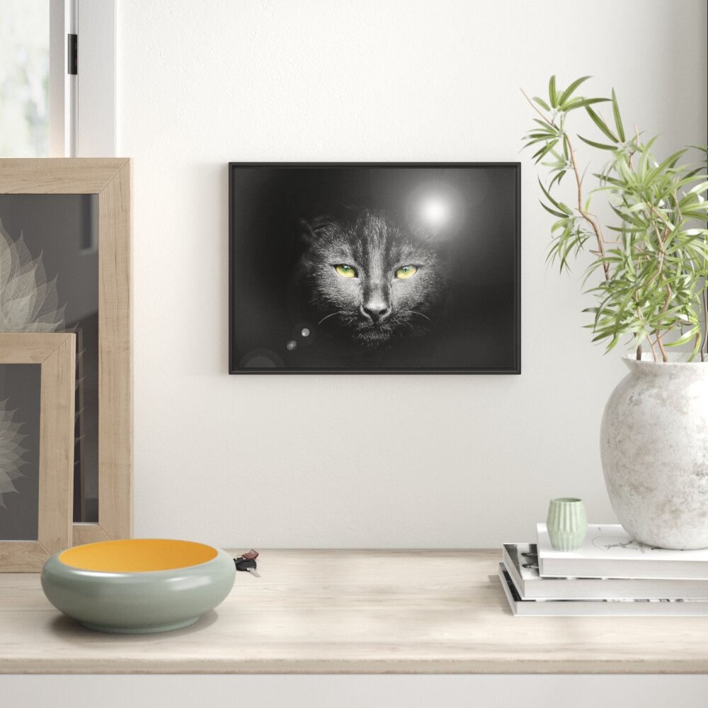 Gerahmtes Wandbild Katzenkopf mit dunklem Hintergrund