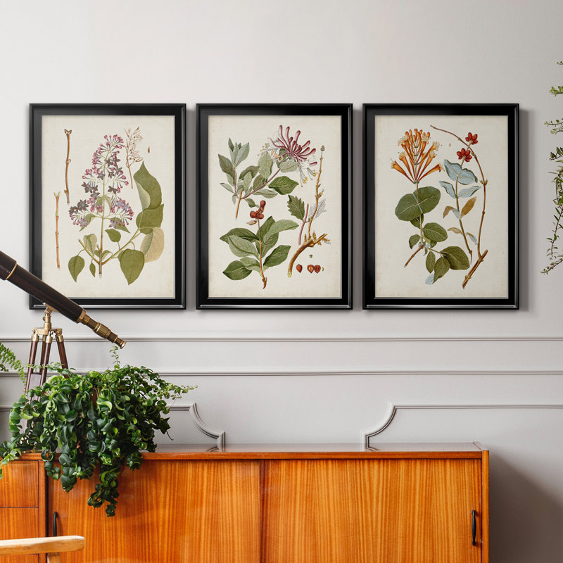 «Vintage Flowering Trees II», ensemble de 3 impressions sur toile encadrées, Toile avec cadre noir