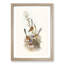 Crowned Wrens by Elizabeth Gould - Framed Print-55490265-55490264