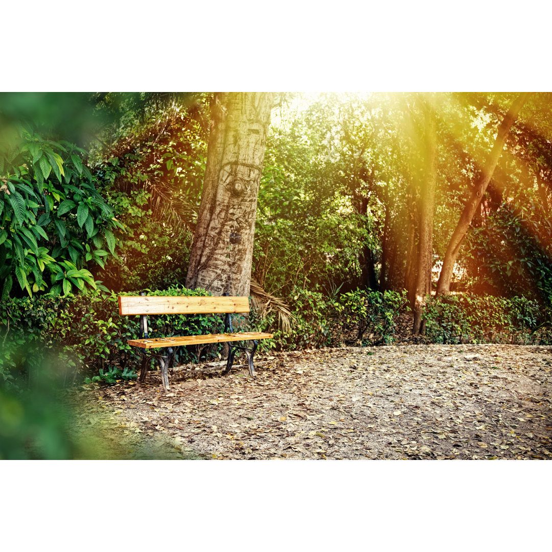 Bank im Park im Herbst mit warmen Sonnenstrahlen von Vasiliki - Kunstdrucke