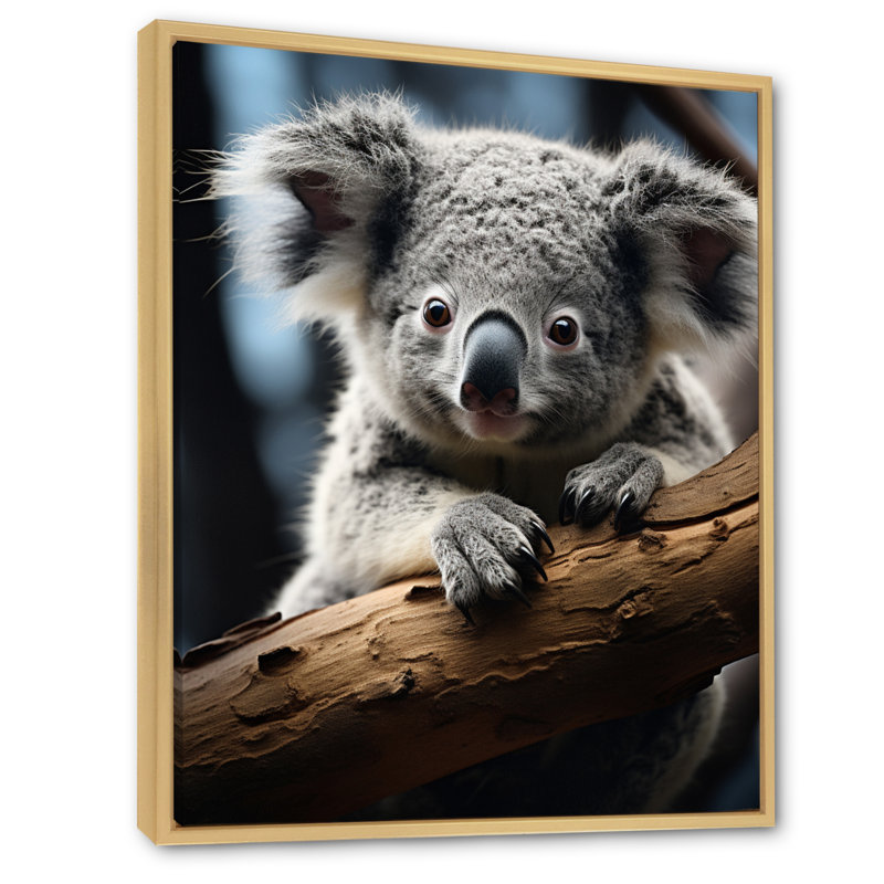 Koala Koalas Serenity - animaux, reproduction sur toile, H 44 po x l 34 po x P 1,5 po, Cadre naturel flottant