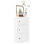 Shanetra 40cm W Bookcase-573105946-573105956