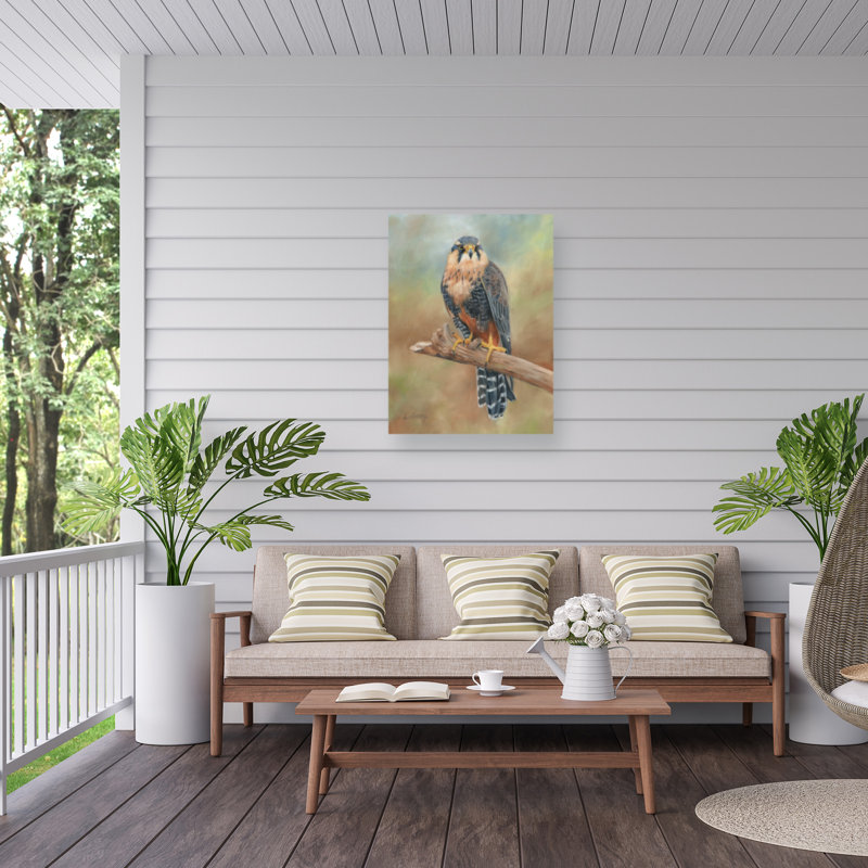 Toile d'extérieur David Stribble Aplomado Falcon, H 18 po x l 24 po