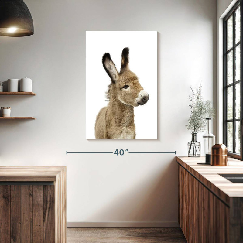Bébé âne Brampt, H 39 po x l 26 po