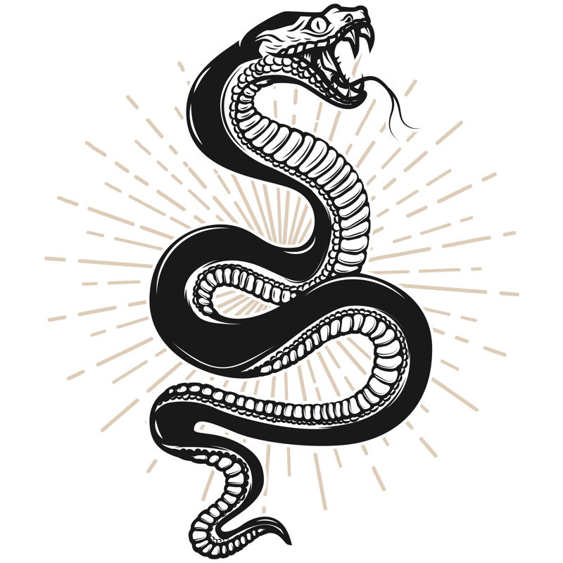 Snake Illustration On White Background. Design Element For Poster, T Shirt, Emblem, Sign. by Ioanmasay - Wrapped Canvas Print