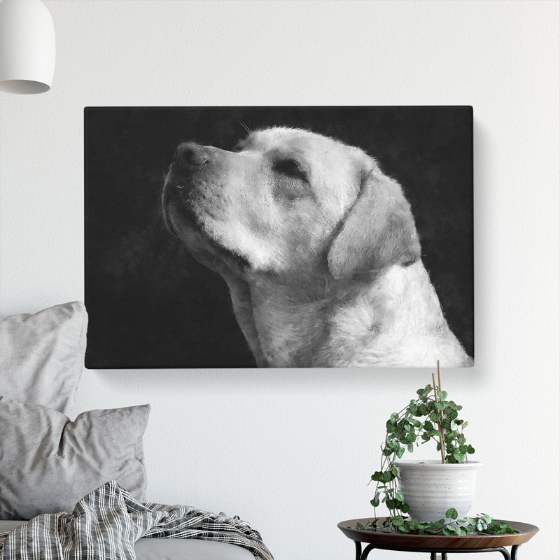 Labrador Dog - Wrapped Canvas, 60cm H x 91cm W x 3cm D