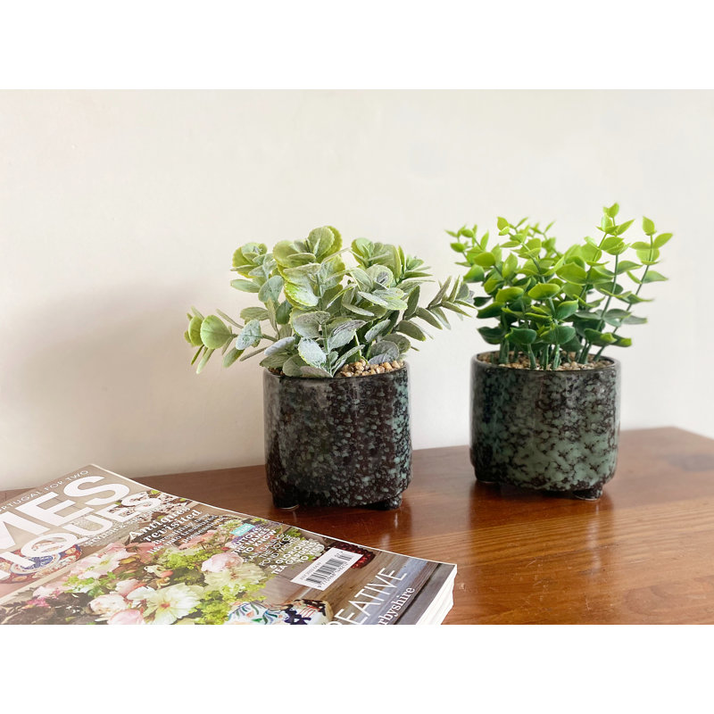Fernly Ceramic Pot Planter