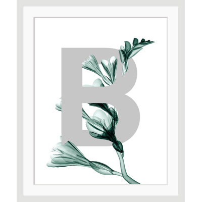 Letter B - Single Picture Frame Print