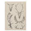 «Skull and Antler Study II» par Ethan Harper - reproduction d'art sur toile-62465040