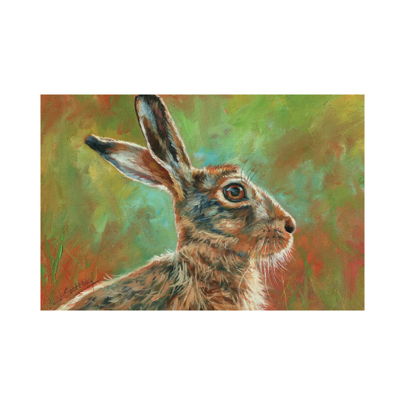 Hare by David Stribbling - Wrapped Canvas Painting, 20.32 cm H x 30.48 cm W
