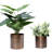 Handmade Metal Pot Planter