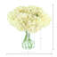 Hydrangeas Arranged in a Glass Vase-2052624387