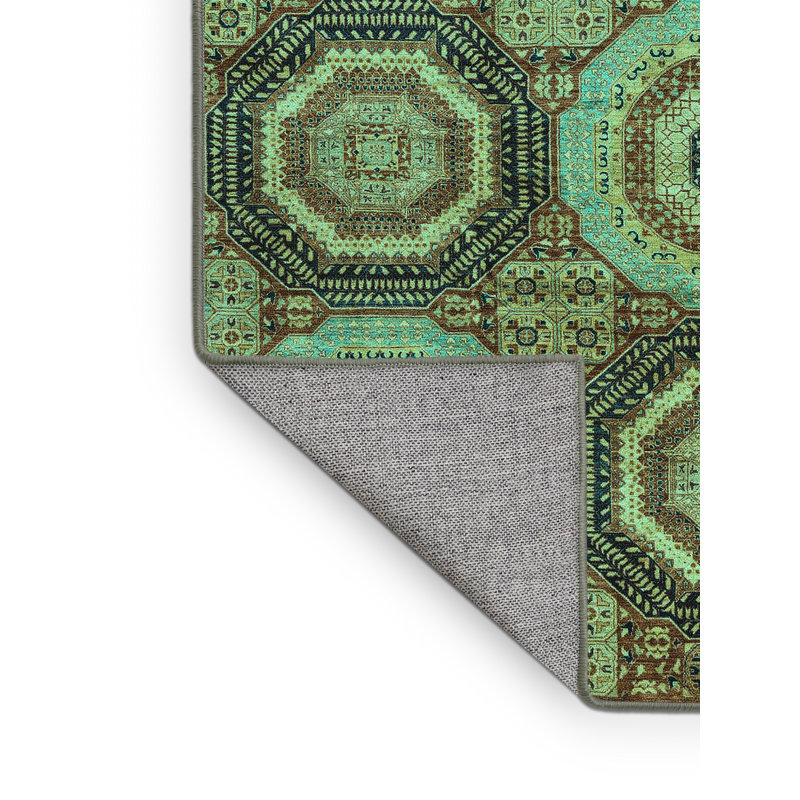 Washable Oriental Indoor Rug, Rectangle 2' x 4'